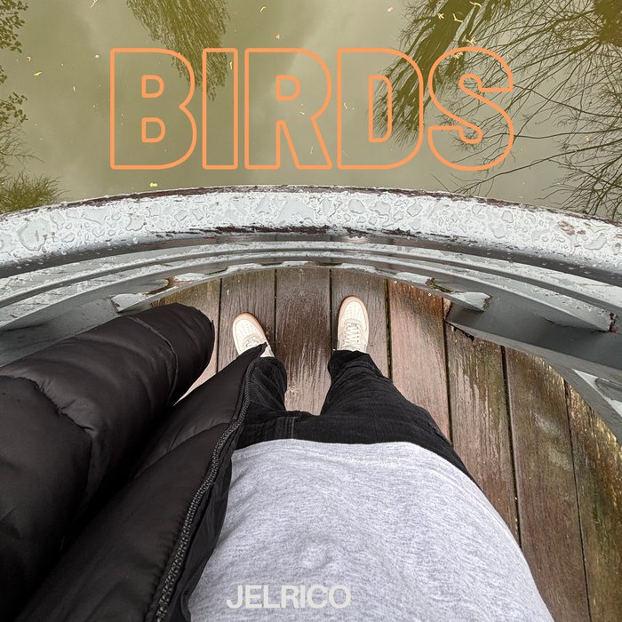 Birds cover art