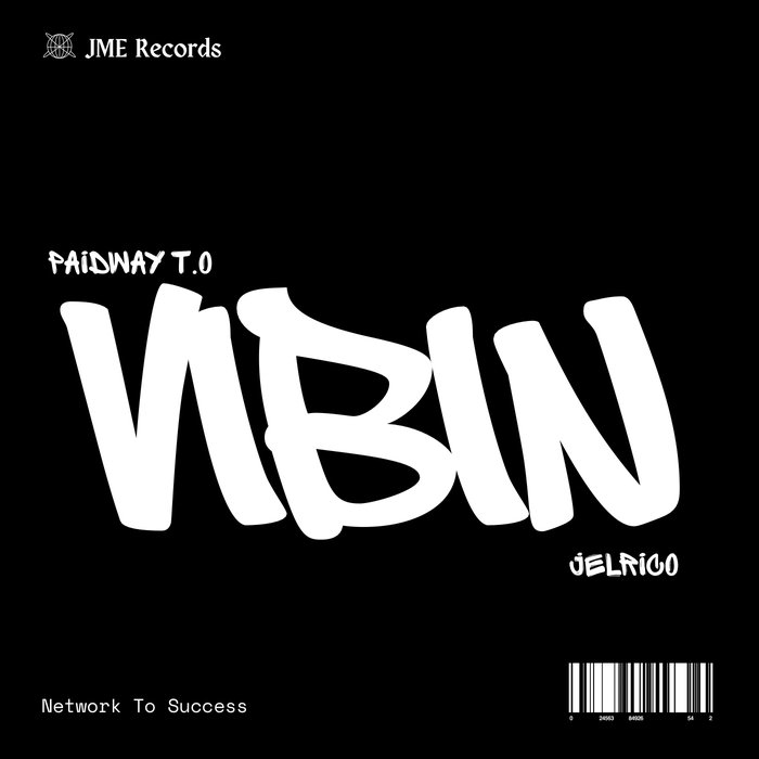 VIBIN cover art